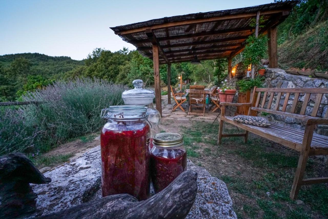 Agriturismo La Colombella バーニ・サン・フィリッポ エクステリア 写真