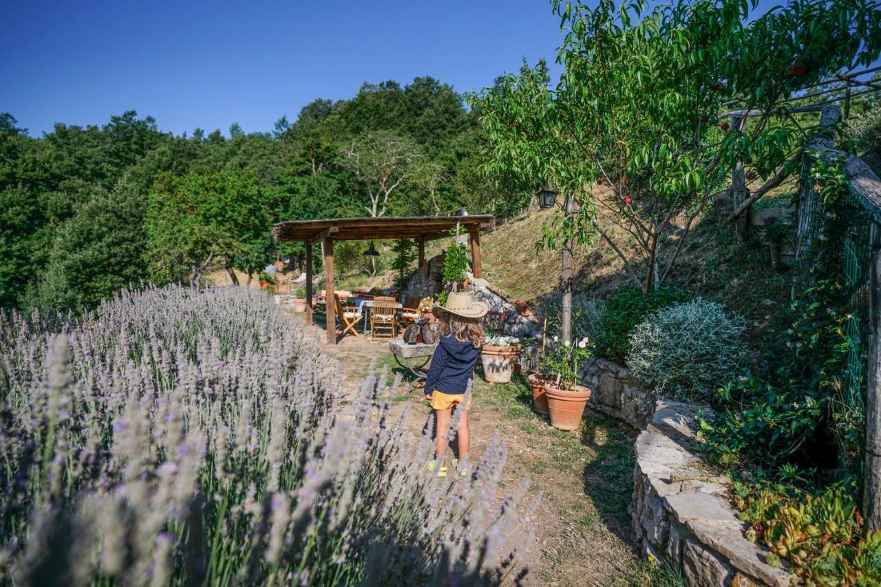 Agriturismo La Colombella バーニ・サン・フィリッポ エクステリア 写真