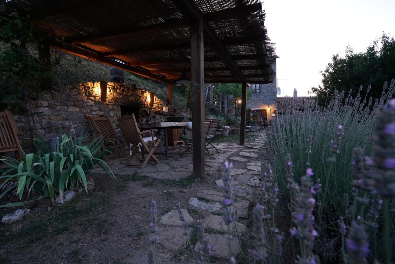 Agriturismo La Colombella バーニ・サン・フィリッポ エクステリア 写真