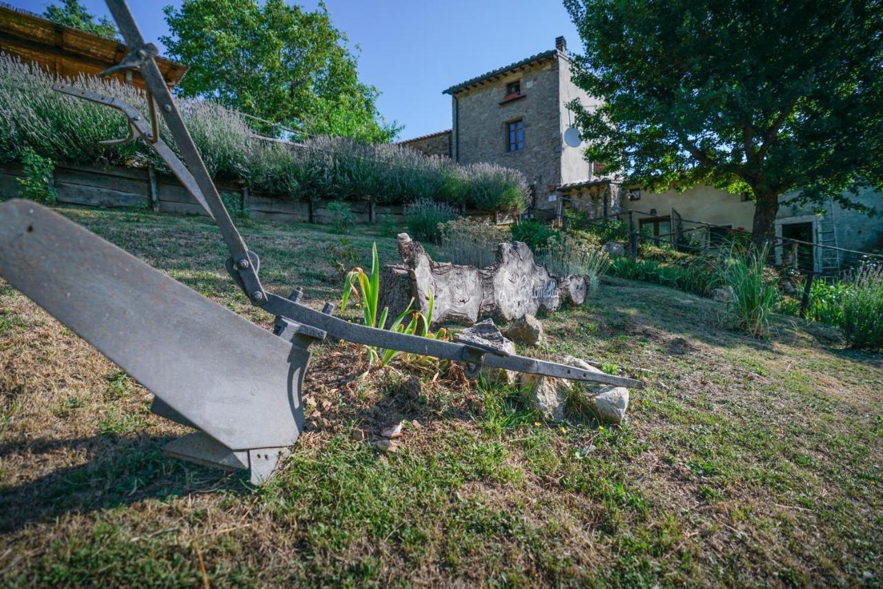 Agriturismo La Colombella バーニ・サン・フィリッポ エクステリア 写真